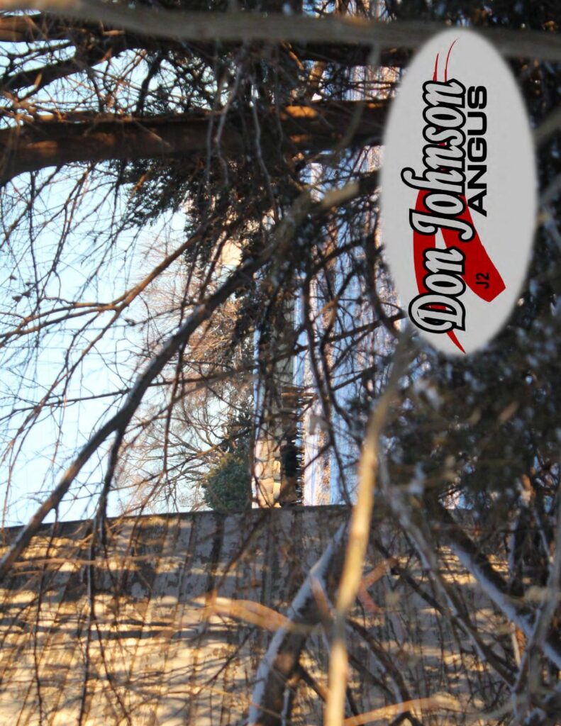 Don Johnson Angus - 2016 Production Sale