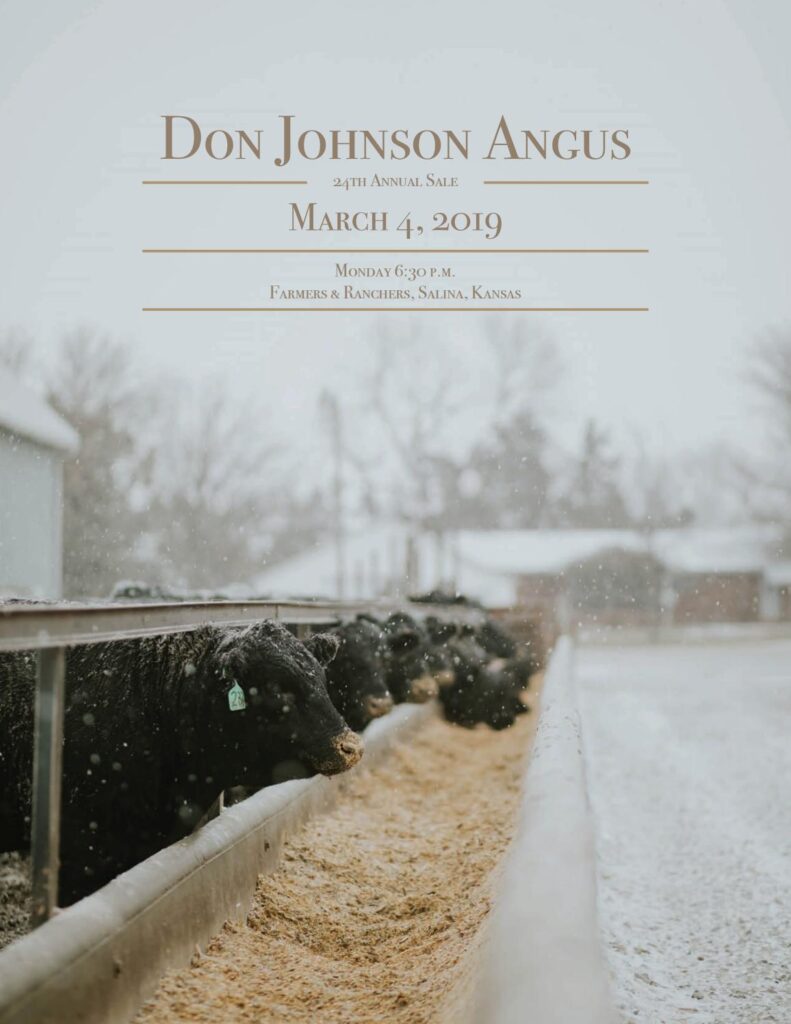 Don Johnson Angus - 2019 Bull Sale