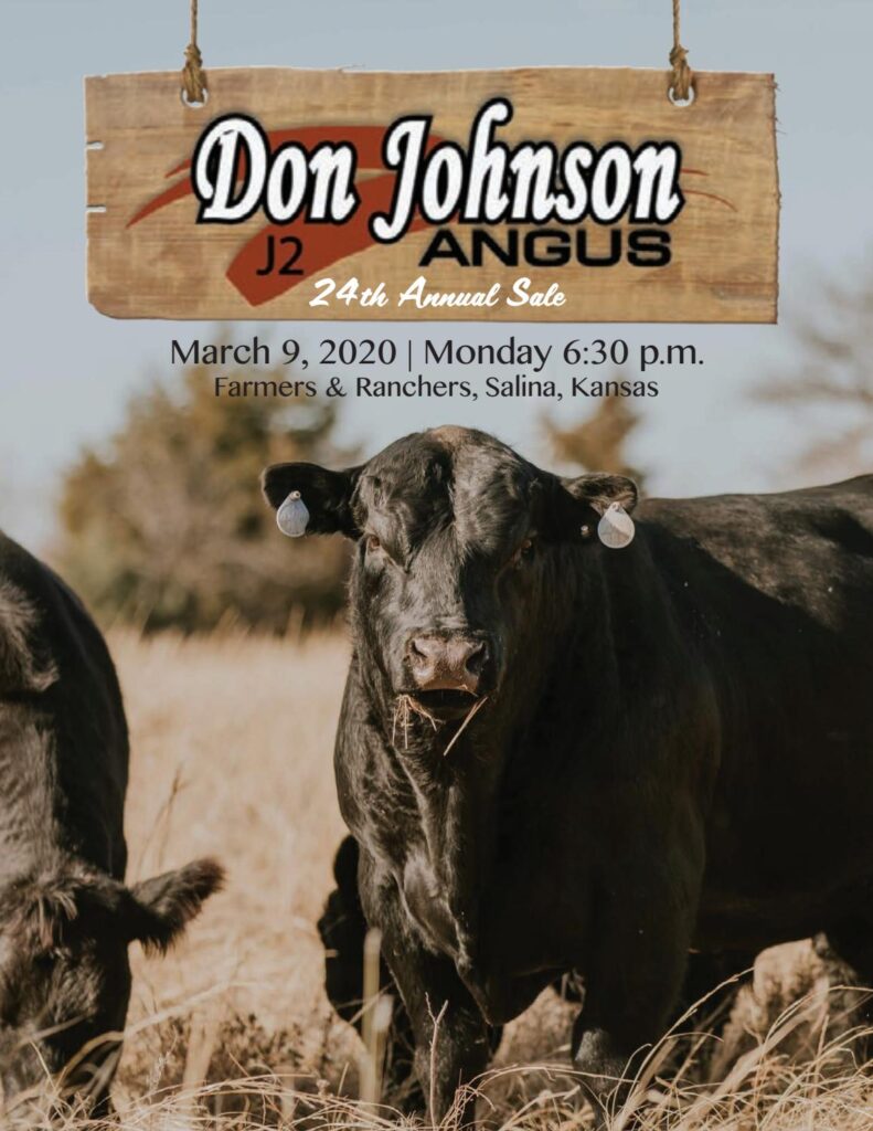 Don Johnson Angus - 2020 Bull Sale