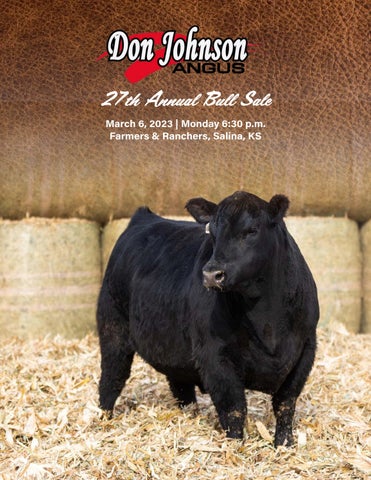 Don Johnson Angus - 2023 Spring Bull Sale