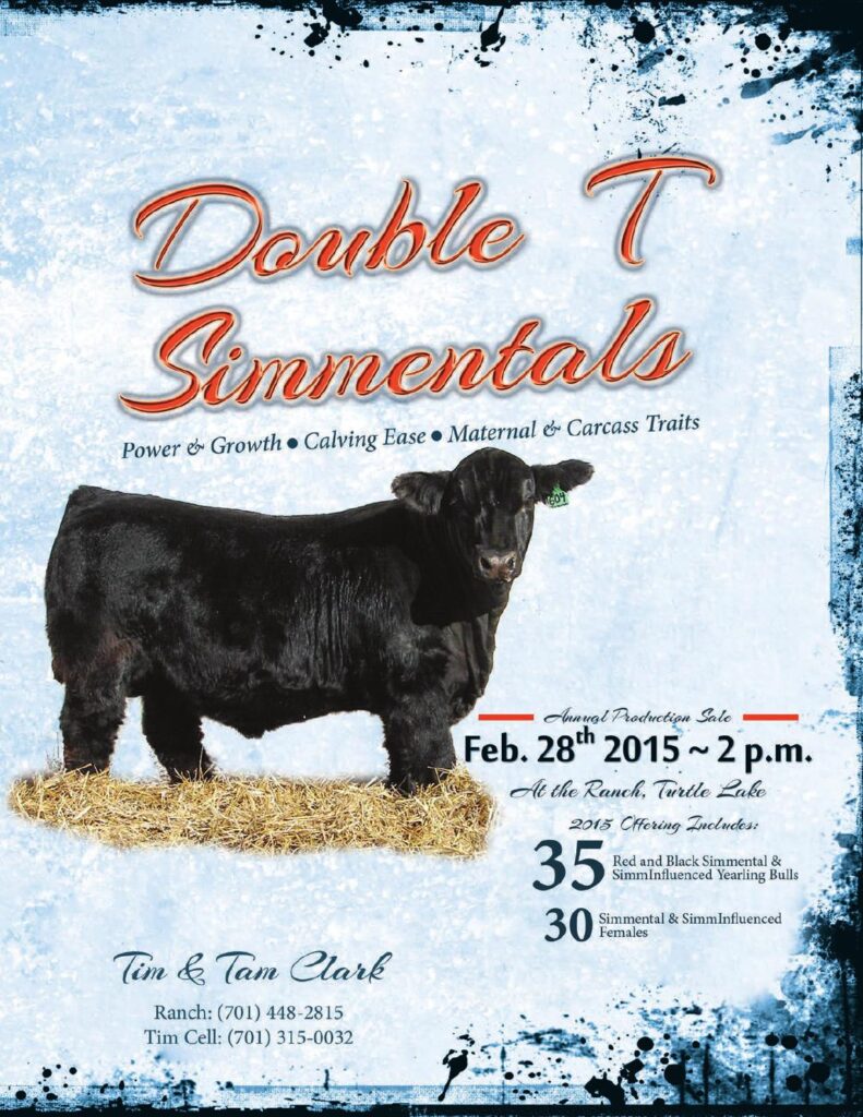 Double T Simmentals - 2015 Production Sale