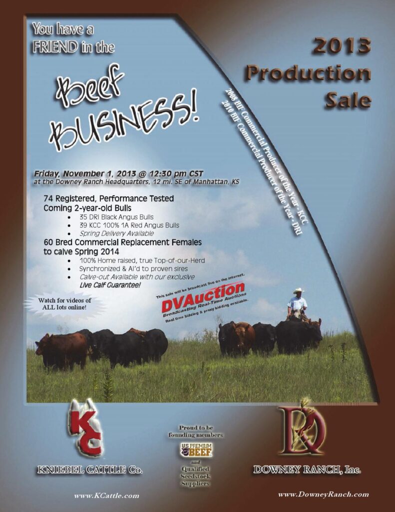 Downey Ranch / Kniebel Cattle Co - 2013 Production Sale