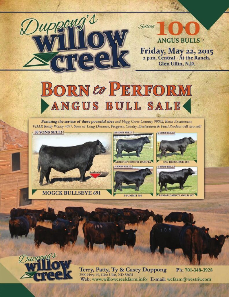Duppong's Willow Creek Farms - 2015 Angus Bull Sale
