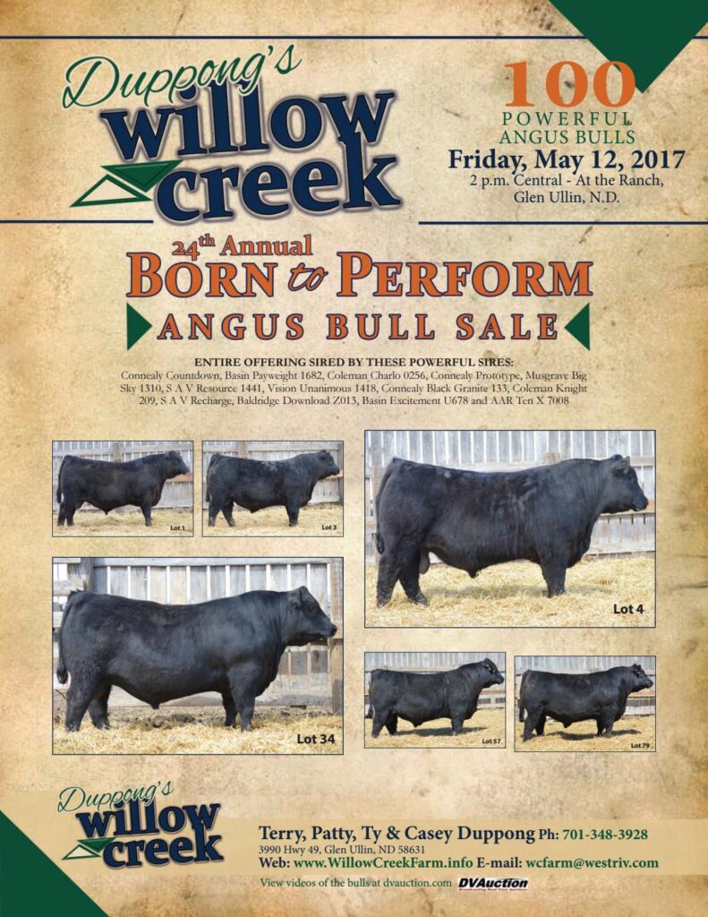 Duppong's Willow Creek Farms - 24th Annual Angus Bull Sale