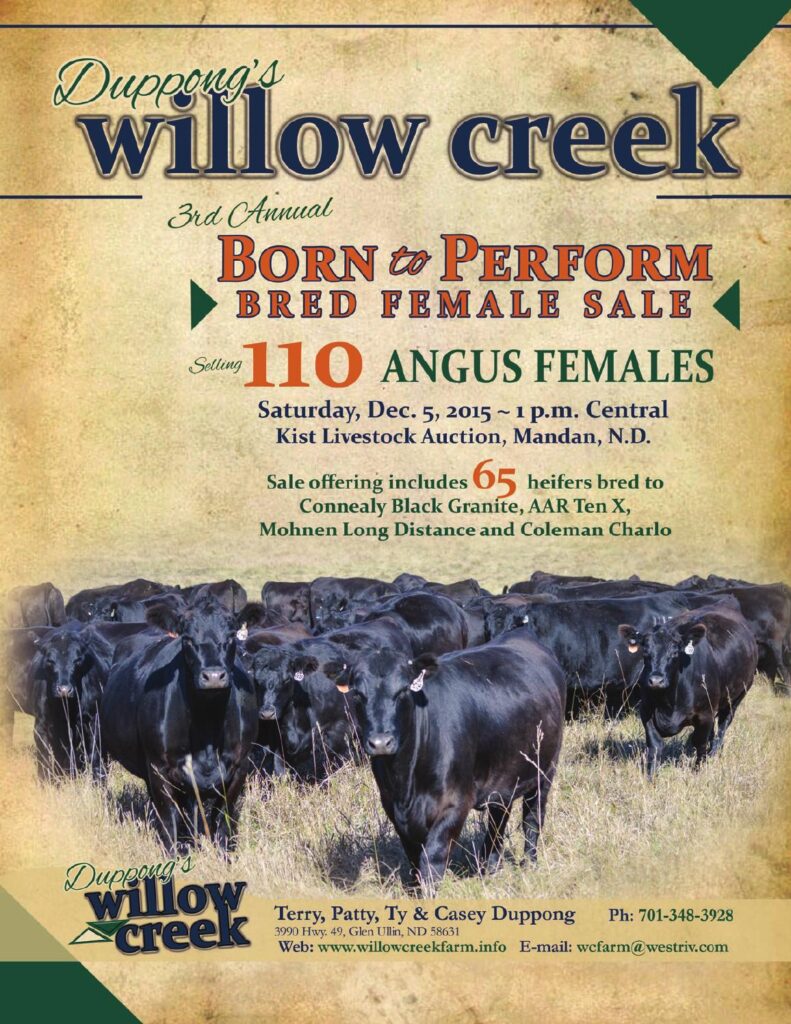 Duppong's Willow Creek Farms - 3rd Annual Bred Female Sale