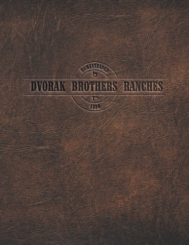 Dvorak Brothers Ranches - 2023 Spring Sale