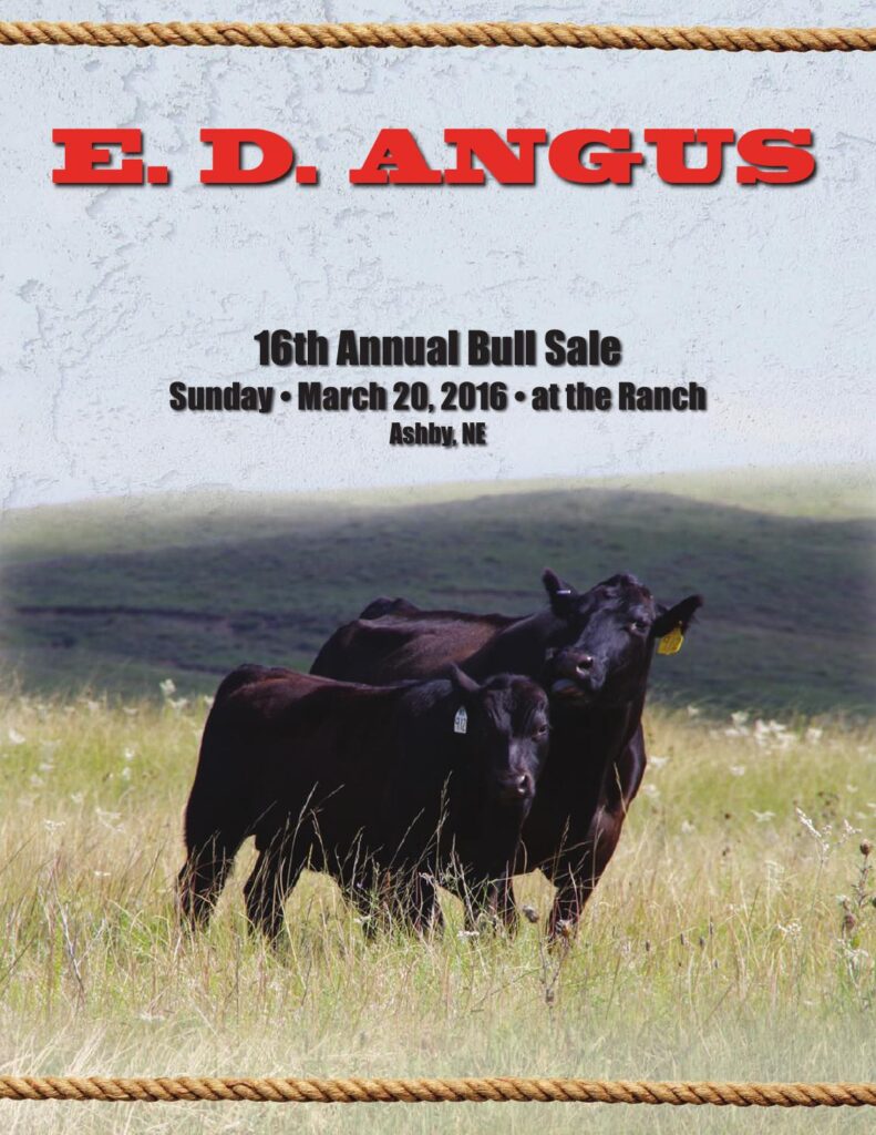 ED Angus - 16th Annual Bull Sale