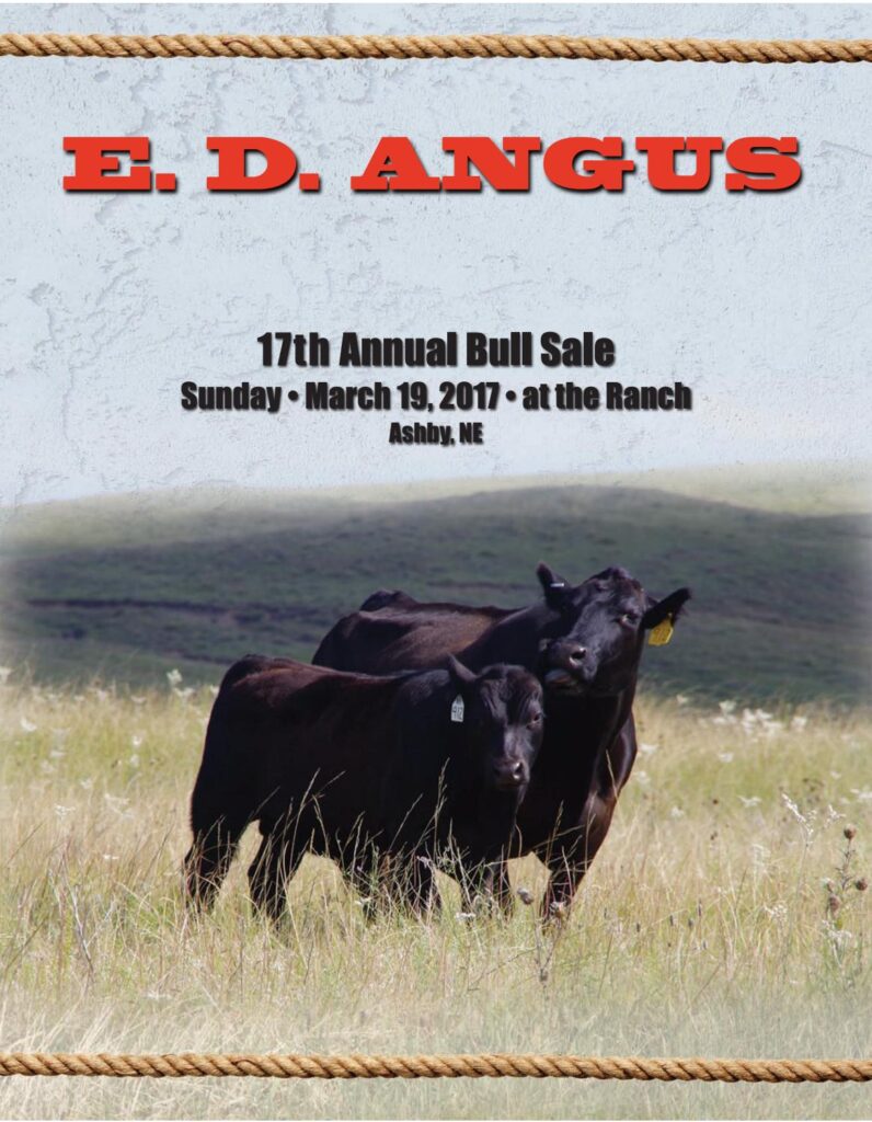 ED Angus - 2017 Bull Sale