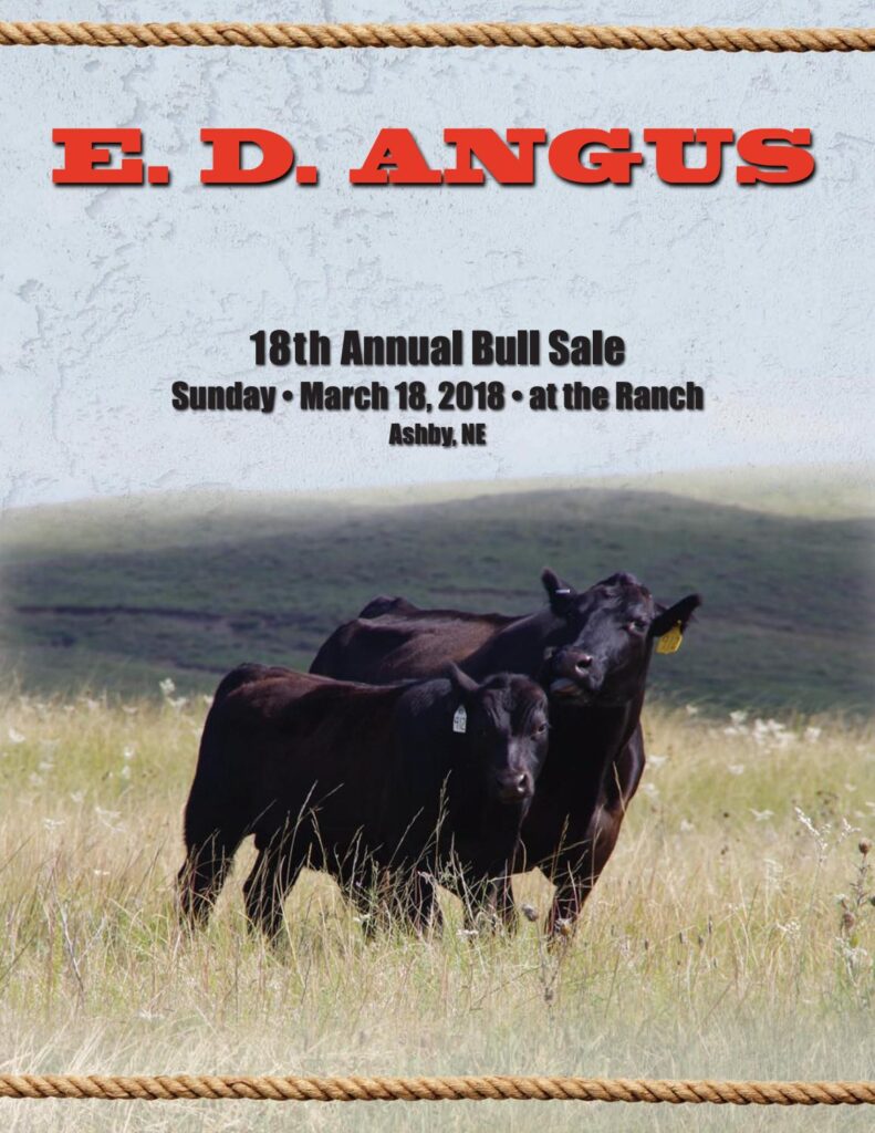ED Angus - 2018 Bull Sale