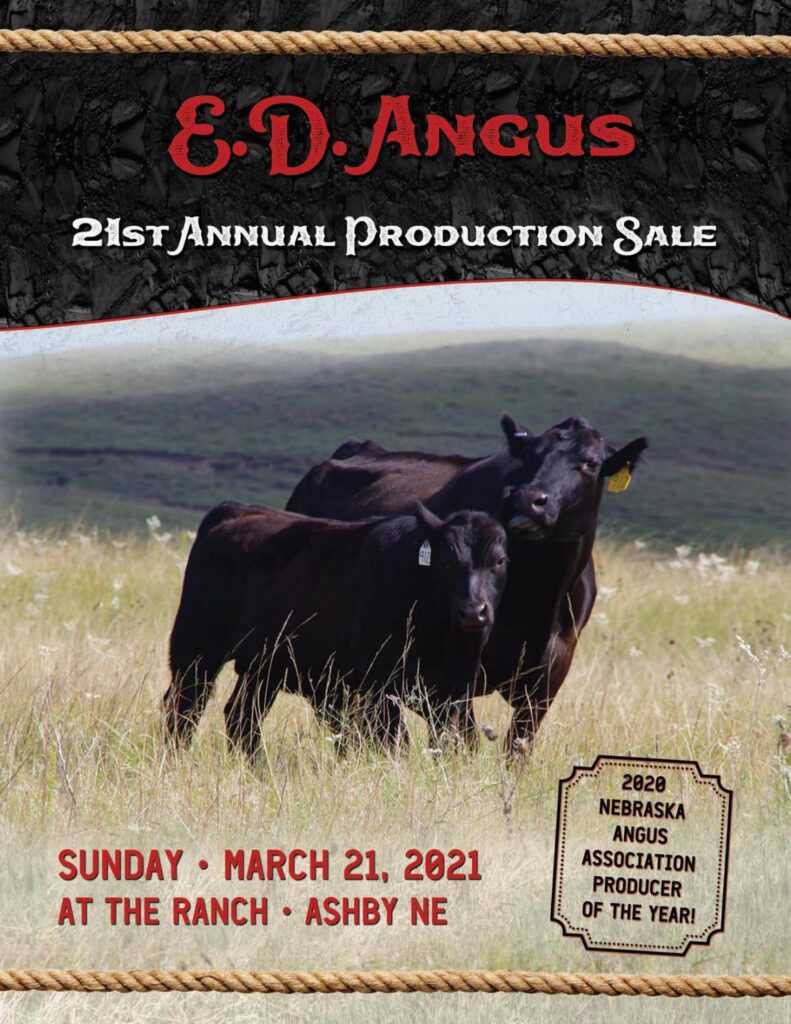 ED Angus - 2021 Spring Bull Sale