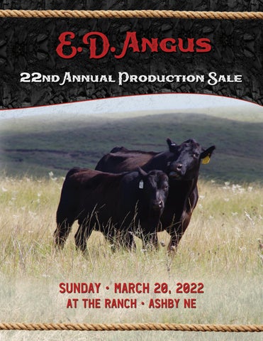 ED Angus - 2022 Spring Bull Sale