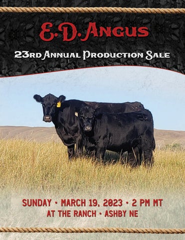 ED Angus - 2023 Spring Bull Sale