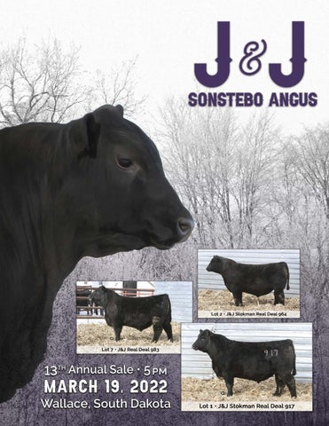 EK Photo & Design - 2022 J & J Sanstebo Angus Ranch - 2022 Spring Sale
