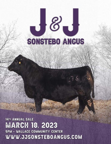 EK Photo & Design - J & J Sanstebo Angus Ranch - 2023 Spring Sale