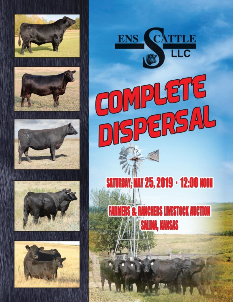 ENS Cattle - 2019 Complete Dispersal Sale