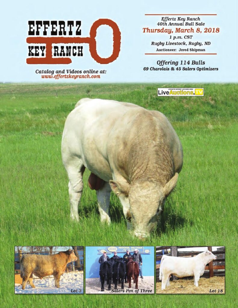 Effertz Key Ranch - 2018 Bull Sale