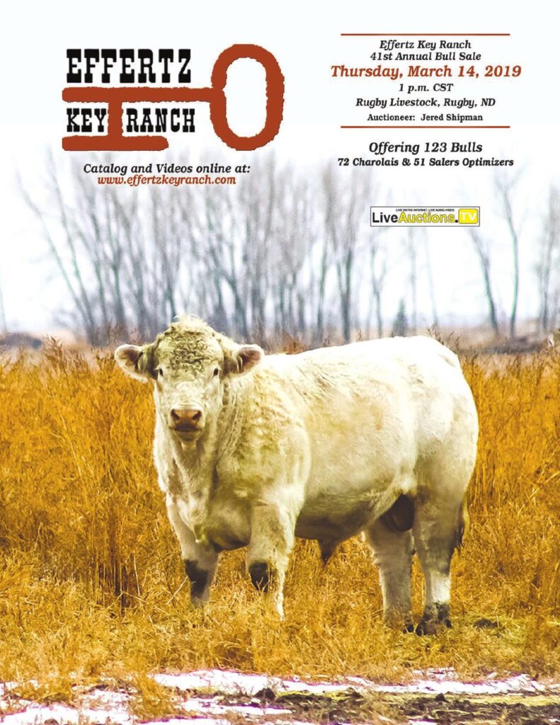 Effertz Key Ranch - 2019 Bull Sale