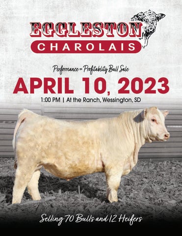Eggleston Charolais - 2023 Sale