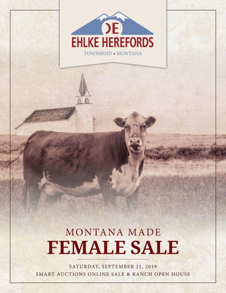 Ehlke Herefords - 2019 Fall Female Sale