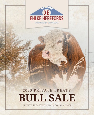 Ehlke Herefords - 2023 Spring Private Treaty Sale