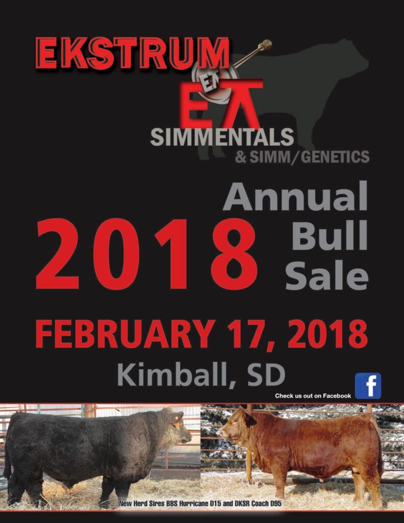 Ekstrum Simmental - 2017 Sale