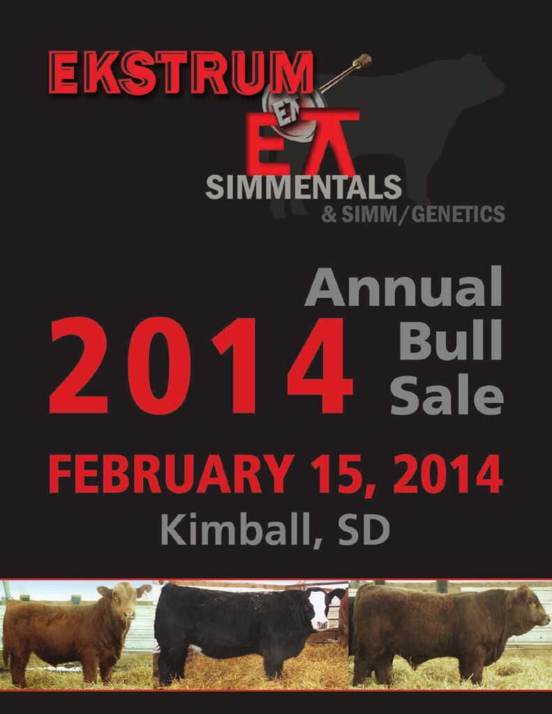 Ekstrum Simmentals - 2014 Annual Bull Sale