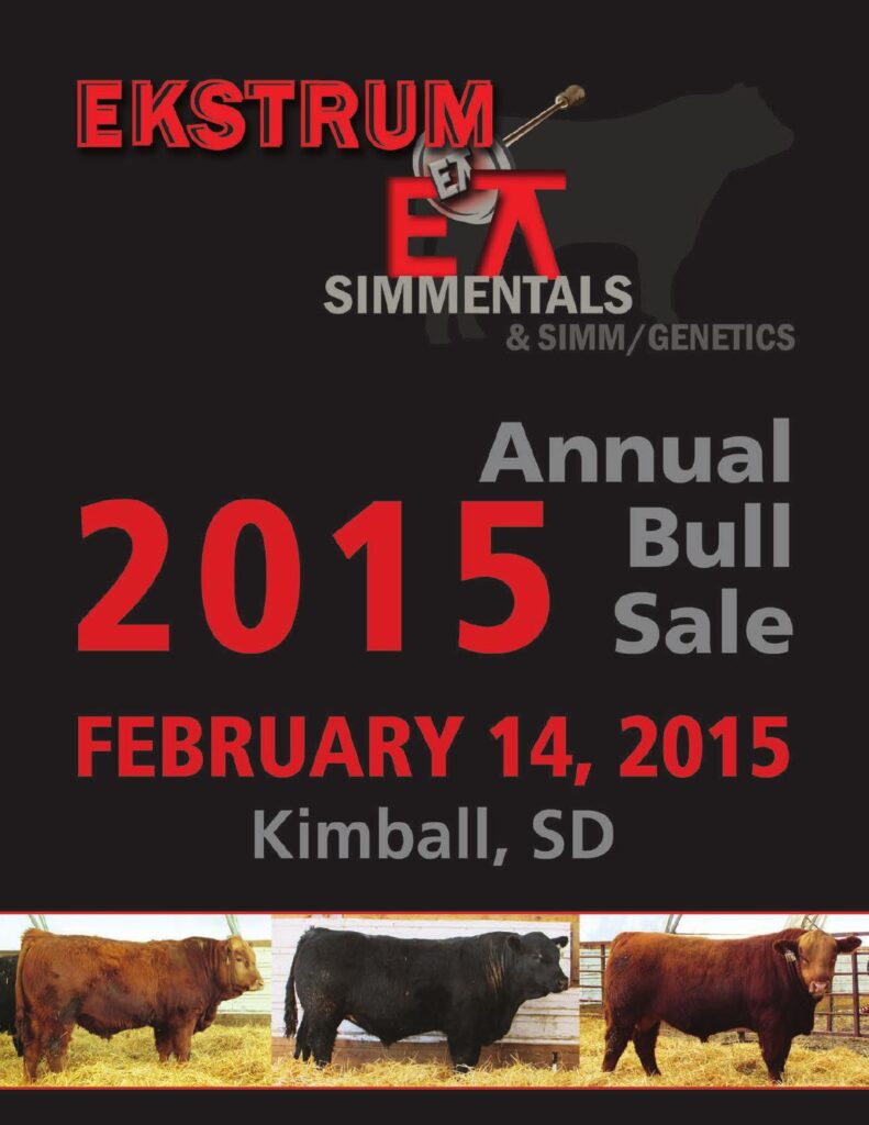 Ekstrum Simmentals - 2015 Annual Bull Sale