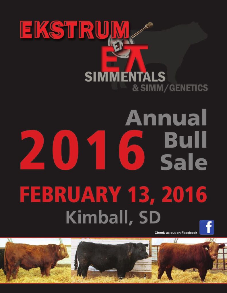 Ekstrum Simmentals - 2016 Annual Bull Sale