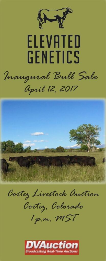 Elevated Genetics - 2017 Inaugural Bull Sale