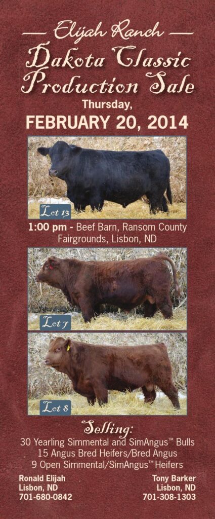 Elijah Ranch - 2014 Dakota Classic Production Sale