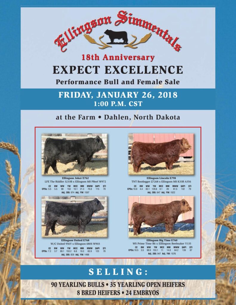 Ellingson Simmentals - 2018 Bull Sale