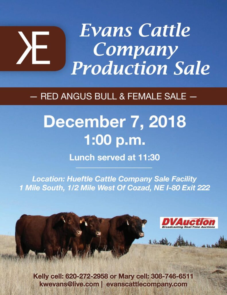 Evans Cattle Company - 2018 Production Sale
