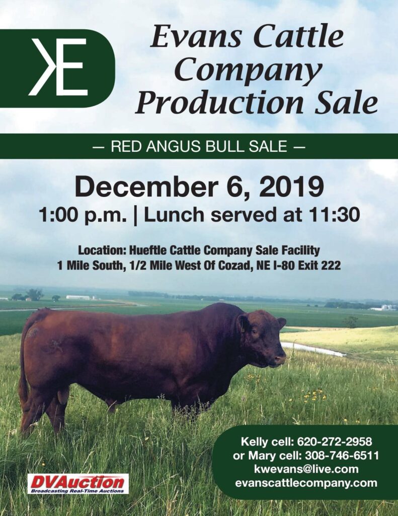 Evans Cattle Company - 2019 Production Sale