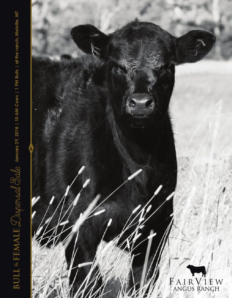 Fairview Angus Ranch - 2018 Dispersal Sale
