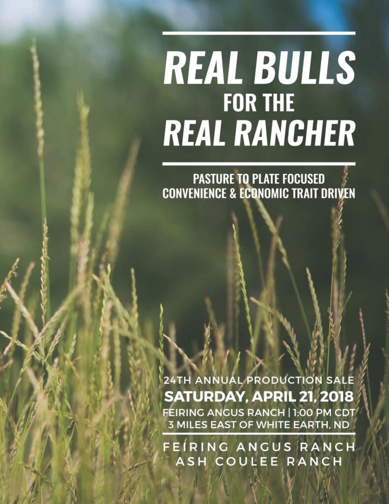 Feiring Angus Ranch - 2018 Bull Sale