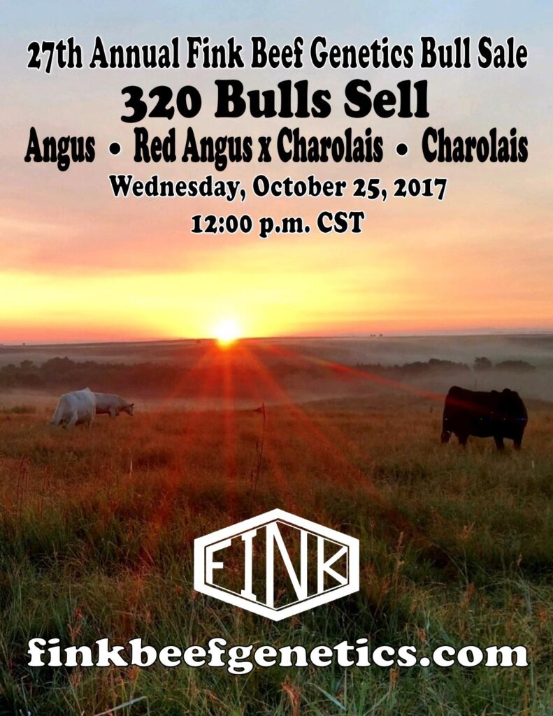 Fink Beef Genetics - 2017 Bull Sale