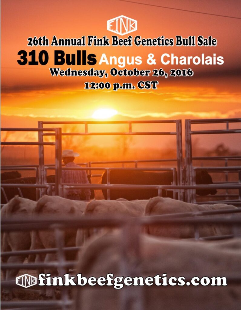 Fink Beef Genetics - 26th Annual Bull Sale