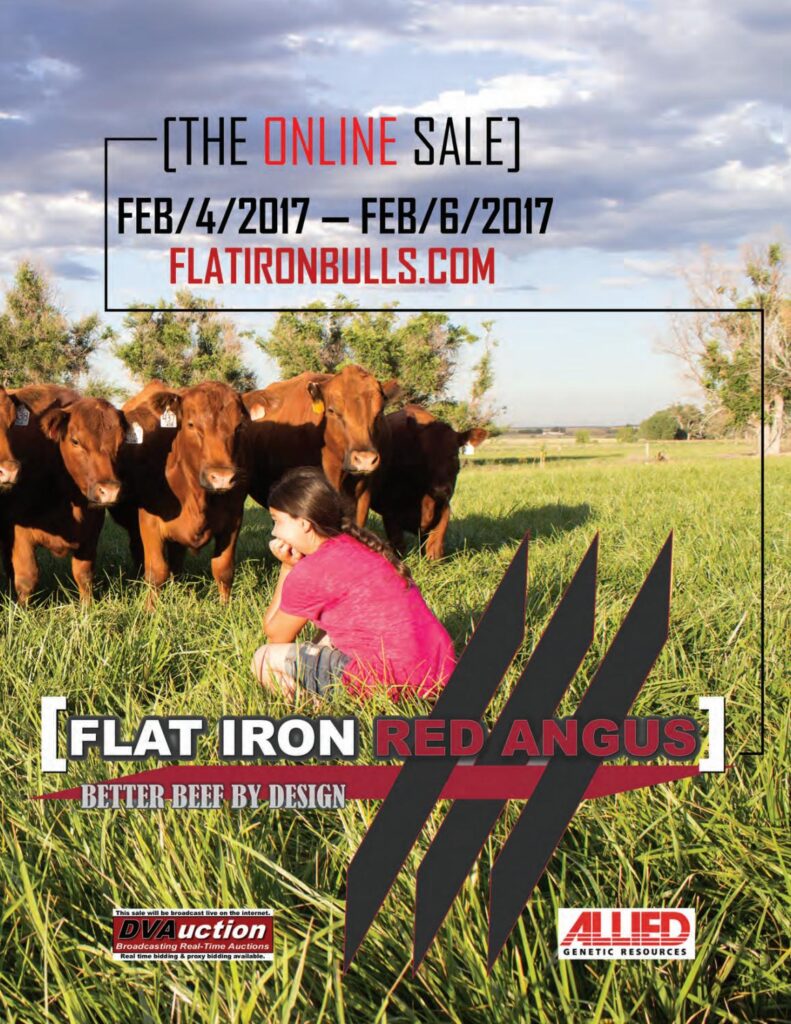 Flat Iron Red Angus - 2017 Online Sale