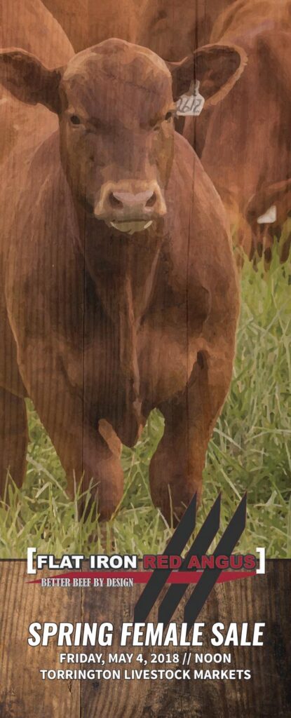 Flat Iron Red Angus - 2018 Spring Female Sale