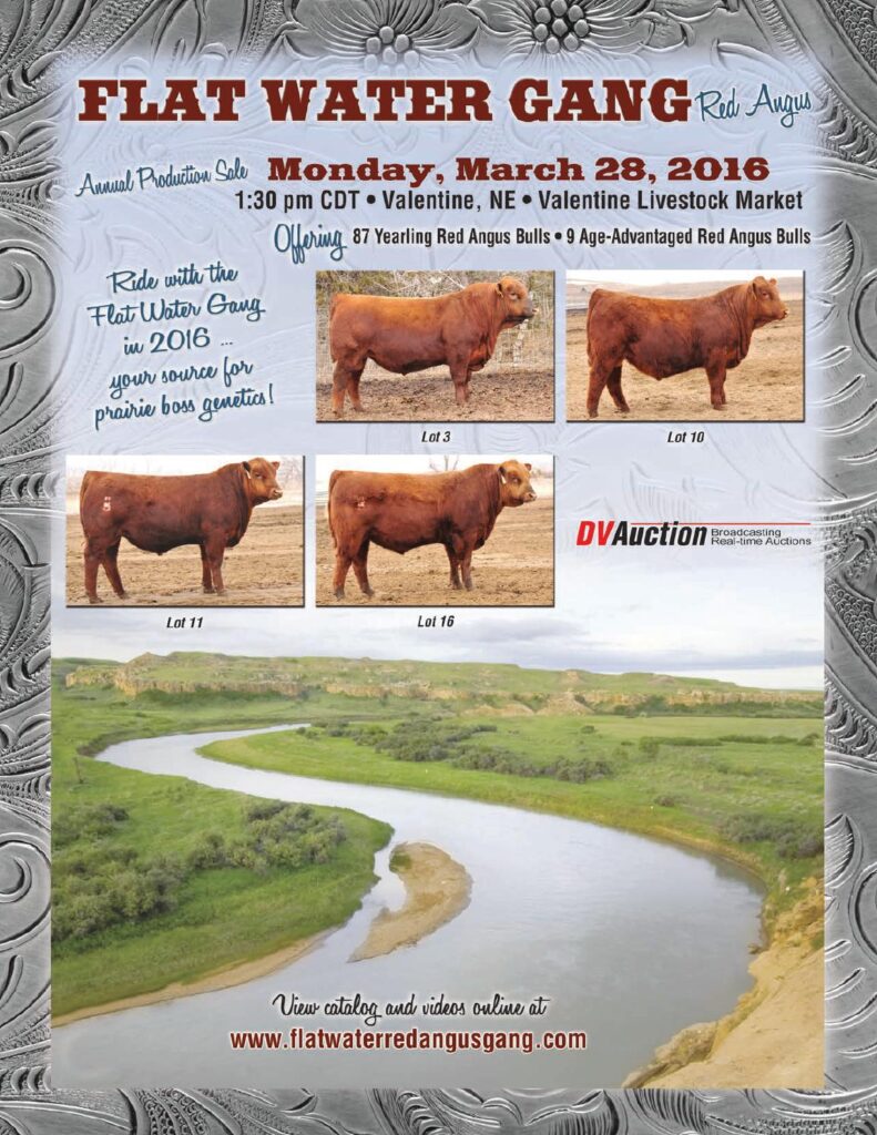 Flat Water Gang - 2016 Production Sale