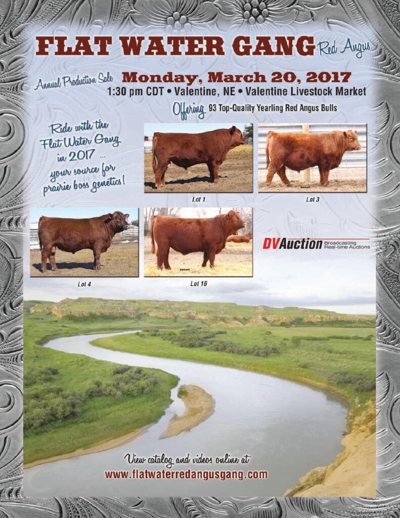 Flat Water Gang - 2017 Red Angus Prooduction Sale