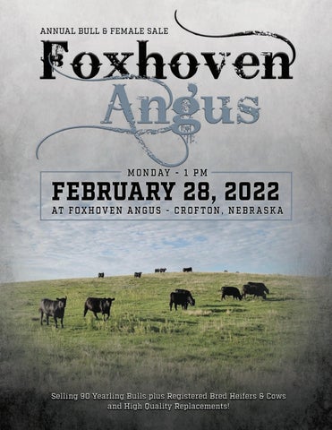 Foxhoven Angus - 2022 Spring Sale