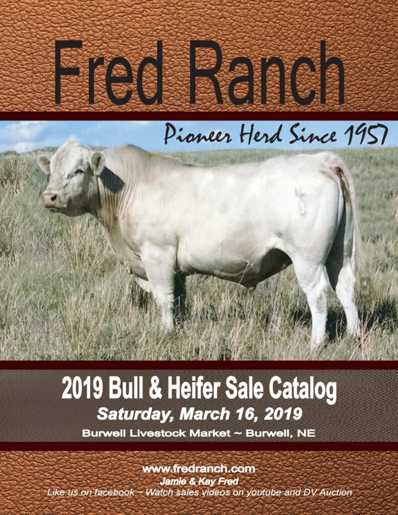 Fred Ranch - 2019 Bull Sale