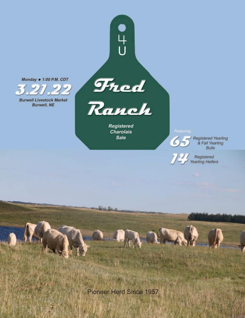 Fred Ranch - 2022 Bull Sale