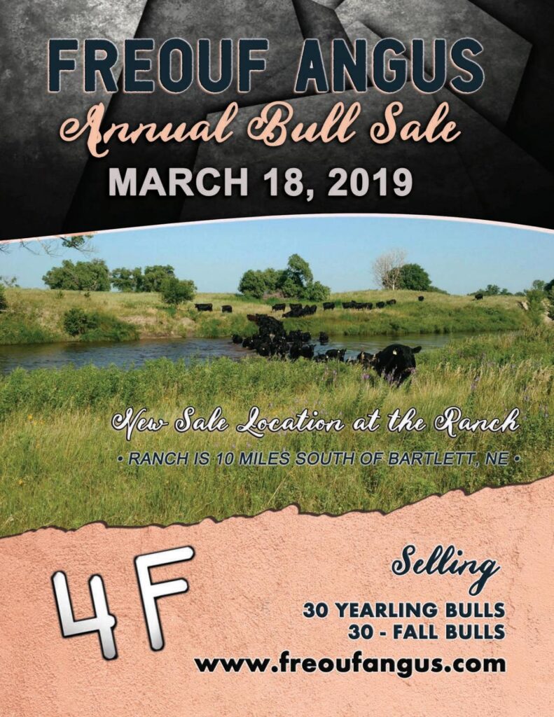 Freouf Angus - 2019 Bull Sale