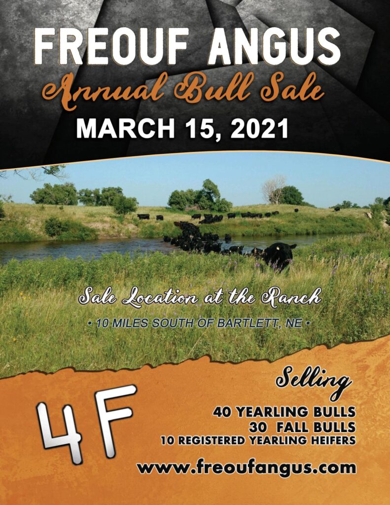 Freouf Angus - 2021 Spring Bull Sale