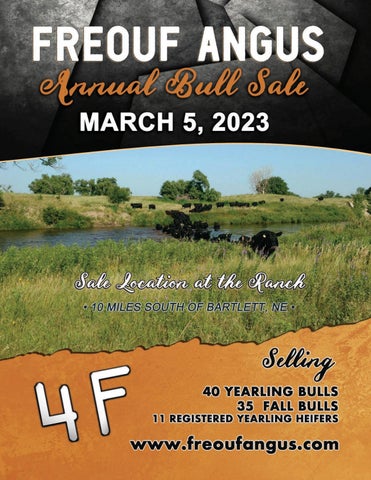 Freouf Angus - 2023 Spring Bull Sale