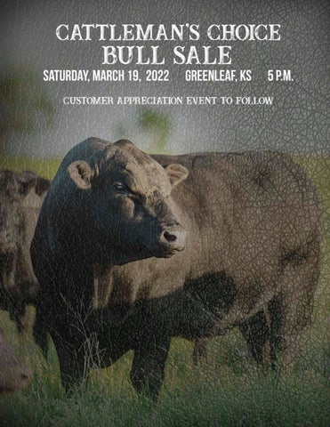 G&G Cattle Co - 2022 Spring Cattleman's Choice Bull Sale