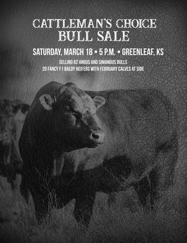 G&G Cattle Co - 2023 Spring Cattleman's Choice Bull Sale