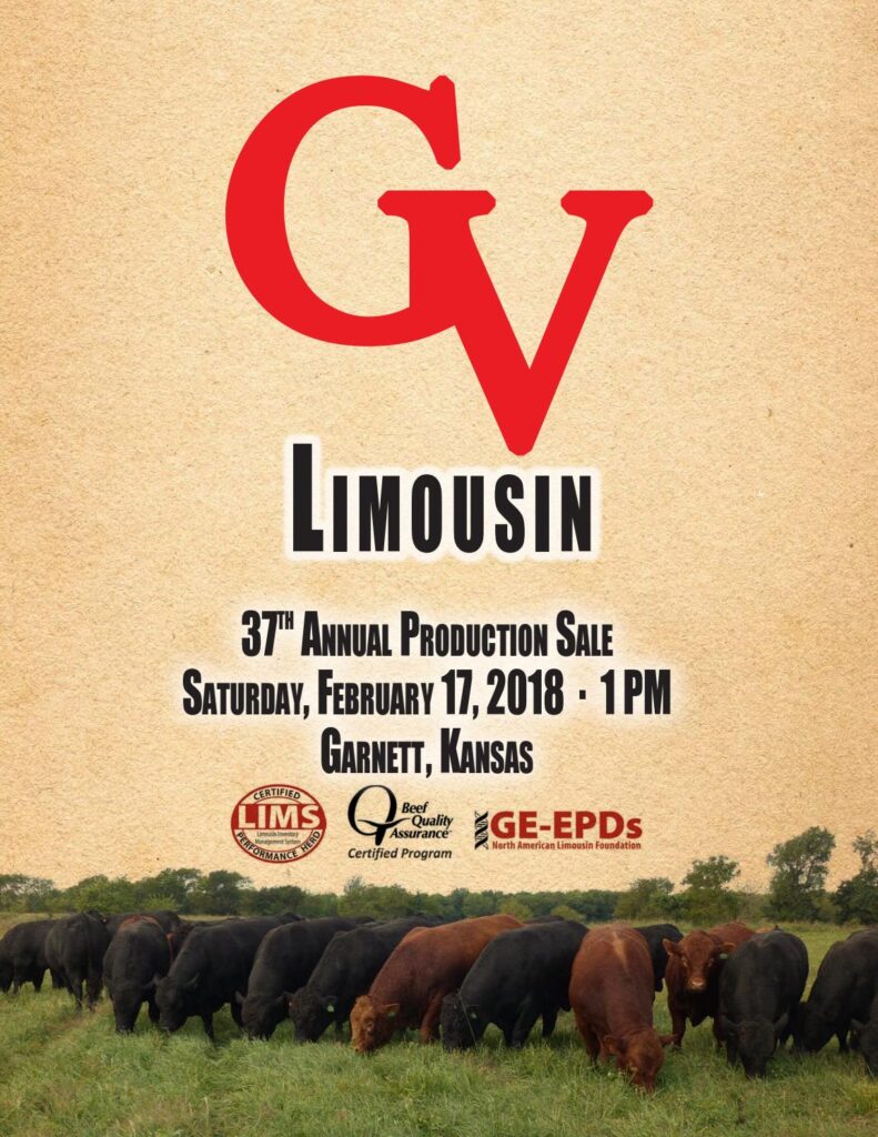 GV Limousin - 2018 Production Sale